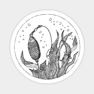 Fish Bait Illustration Sticker